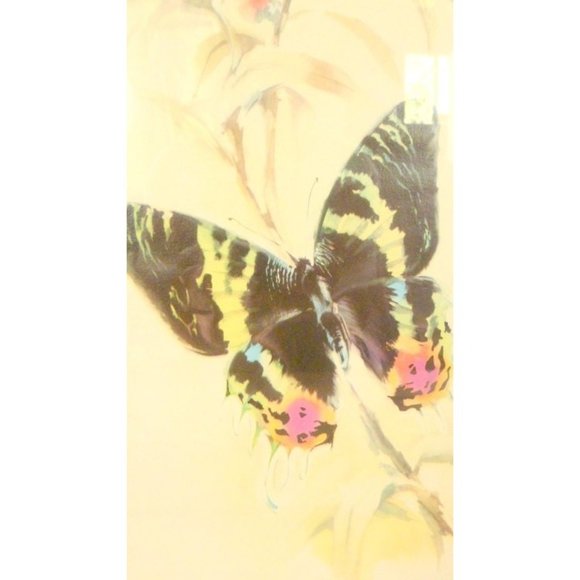 Vintage framed butterfly print picture - Picture 3 of 4